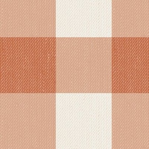 Twill Textured Gingham Check Plaid (3" squares) - Topaz and Dove White  (TBS197)