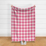 Gingham Check Plaid (3" squares) - Eucalyptus Pink & White