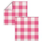 Gingham Check Plaid (3" squares) - Eucalyptus Pink & White