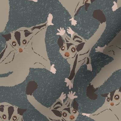 Sugar Glider Whimsy - Grullo