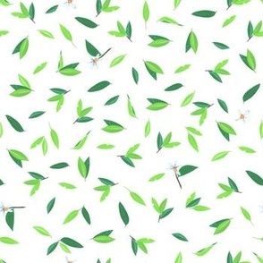 Lime and dark green small leaf toss on white with small flowers