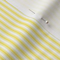 lemon yellow ticking stripes