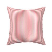 coral ticking stripes