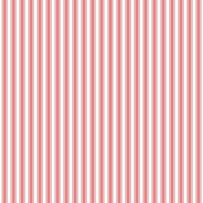 coral ticking stripes