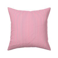 hot pink ticking stripes