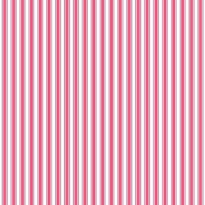 hot pink ticking stripes