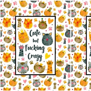14x18 Panel Cute but Fucking Crazy Funny Sweary Cats on Black for DIY Garden Flag Small Wall Hanging or Tea Towel