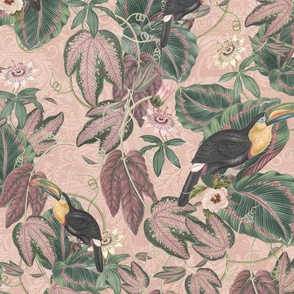 Vintage jungle toucan birds foliage wallpaper -  blush pink