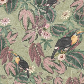 Vintage jungle toucan birds foliage wallpaper -  sage green