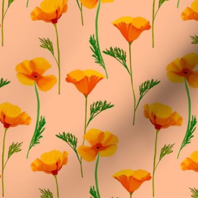 Orange California Poppies on “Peach Fuzz”