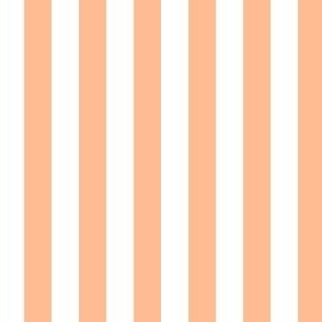 1/2” Wide Peach Fuzz and White Vertical Stripes