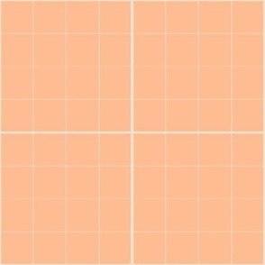 Retro Grid Squares in Squares, Peach Fuzz and Ivory
