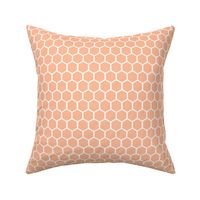 1” Honeycomb Hex in Peach Fuzz 2024 COTY