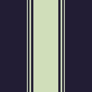 Midnight Blue  and Tinted Green Bold Awning Stripe