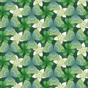 Shamrock and Clovers 1