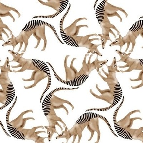 Thylacine Tasmanian Tiger Tasmanian Wolf Twirl on White