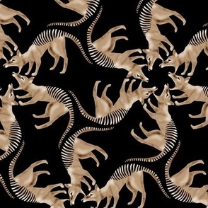 Thylacine Tasmanian Tiger Tasmanian Wolf Twirl on Black