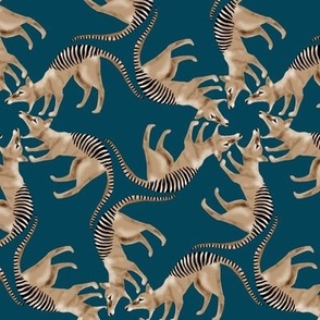 Thylacine Tasmanian Tiger Tasmanian Wolf Twirl on Dark Blue