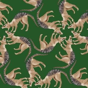 Thylacine Tasmanian Tiger Tasmanian Wolf Twirl on Dark Green