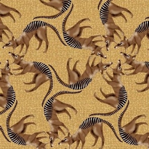 Thylacine Tasmanian Tiger Tasmanian Wolf Twirl on Texture in Browns