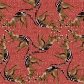 Thylacine Tasmanian Tiger Tasmanian Wolf Twirl on Pink Texture