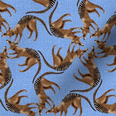 Thylacine Tasmanian Tiger Tasmanian Wolf Twirl on Blue Texture