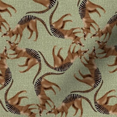 Thylacine Tasmanian Tiger Tasmanian Wolf Twirl on Sage Green Texture