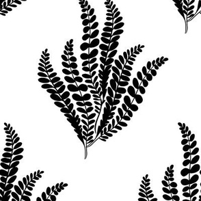 Simple Fern - black and white