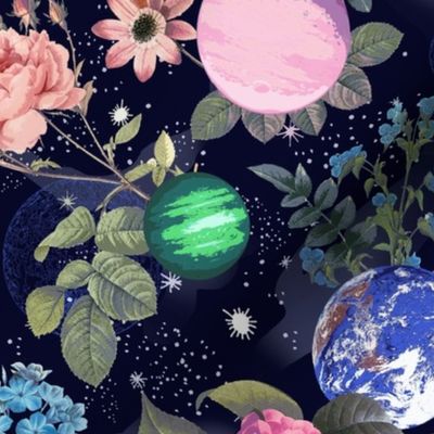 Traveling the floral Universe