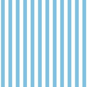 1/4 inch Candy Stripe in sky blue and white  0.25 inch - 45