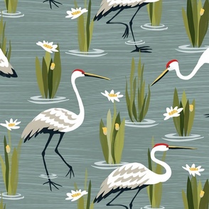 Wading Cranes