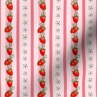 Strawberry Stripes Pink, small size