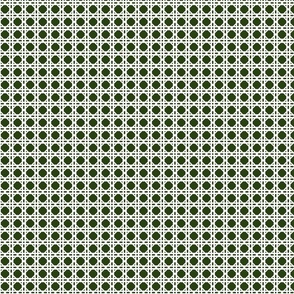 White on Lichen Green Rattan Caning Pattern