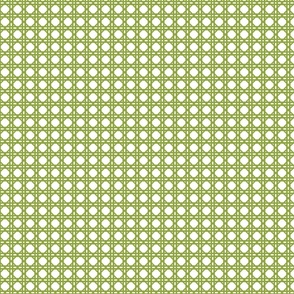 Grass Green  on White Rattan Caning Pattern