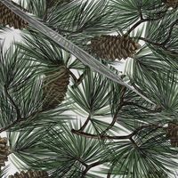 Christmas pine
