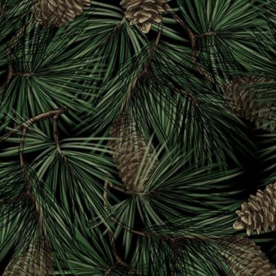 Christmas pine  on black