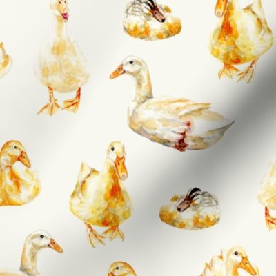 LARGE American White Pekin Ducks and other ducks - barnyard fowl in yellow and cream / ivory white