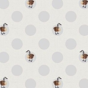 Canada Geese Bird Polka Dot Spot Pattern in Gender Neutral Linen and Gray for Baby Nursery