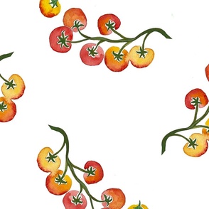 Watercolor cherry tomatoes on a vine in rich crimson red, orange gold and golden yellow on white