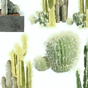 Cacti Chroma