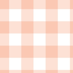 Peachskin Gingham 24 x 24