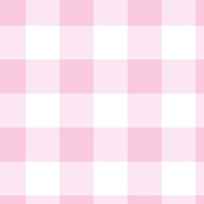 Rosy Pink Gingham 24 x 24
