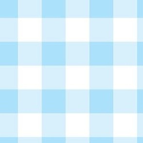 Baby Blue Gingham 6 x 6