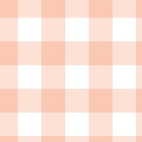 Peachskin Gingham 6 x 6