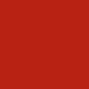 Blazing Red - Solid Red Color Co-ordinate