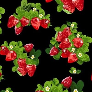 Strawberry Summer ( Jet )