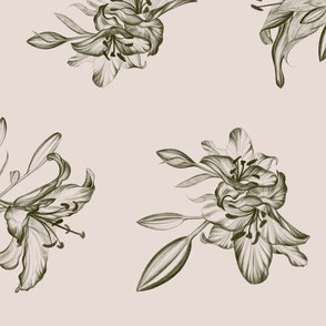 Feminine Hand-Drawn Lily Flowers in Dark Sage Green on Dusty Rose Pink (BR006_01)