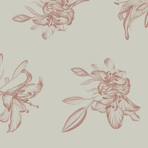 Feminine Hand-Drawn Lily Flowers in Terracotta Rose Brown on Light Sage Green (BR006_04)