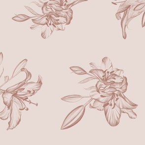 Feminine Hand-Drawn Lily Flowers in Terracotta Brown on Dusty Rose Pink (BR006_03)