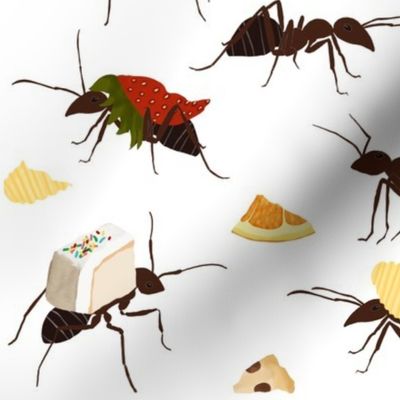 Ants with Snacks